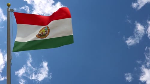 Realistic Waving Flag with Red White Green Stripes and Emblem