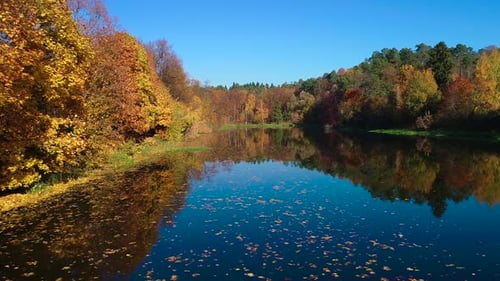 Colorful Autumn Forest Wood on the Lake