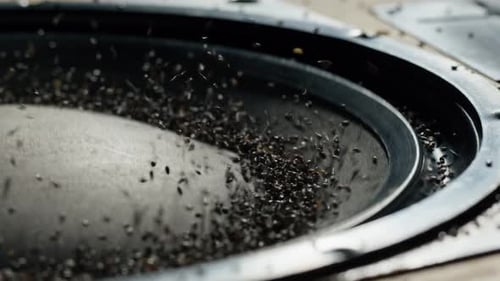 Acoustic Sound System Closeup Flying Spices