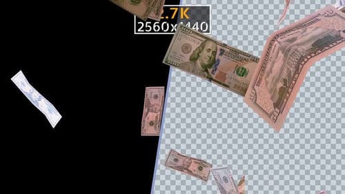 Dollars (2.7K)