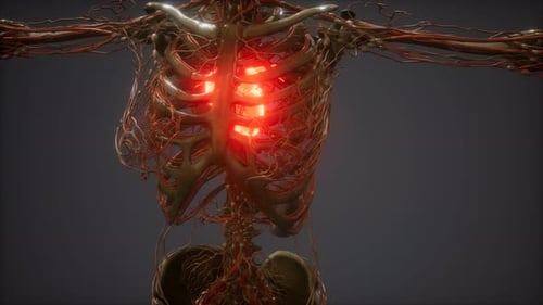 Sick Human Heart