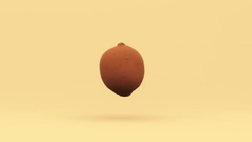 Animation 3D Kiwi Spinning in the Air