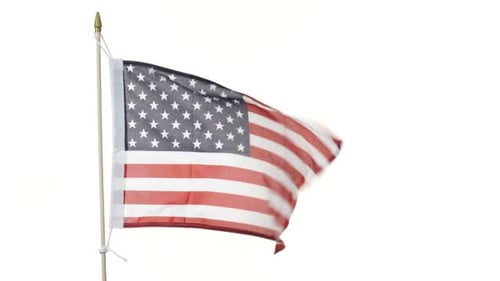 American Flag Waving on White Background