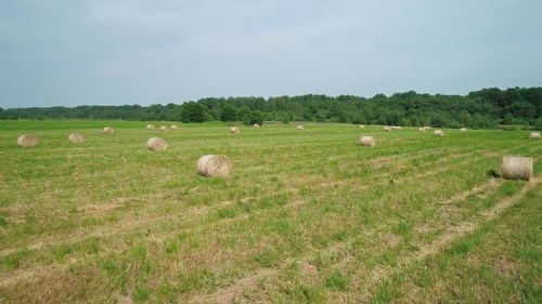 Aerial View of Hay Bales on the Green Field