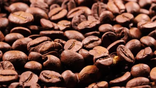 Close Up of Roasted Coffee Beans