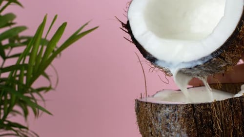 Coconut nut. Juicy ripe split coconut into which coconut milk is poured, on a pink background