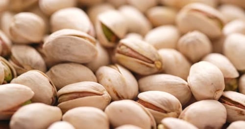 Pile of Fresh Pistachios in Shells Close Up