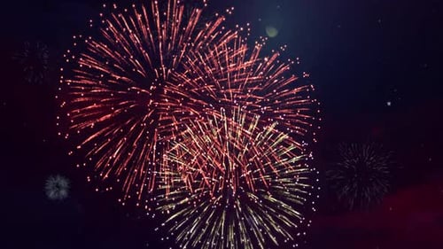 Vibrant Colorful Fireworks Exploding Over a Dark Night Sky