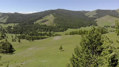 Grüne Wiesen in den spärlich bewaldeten zwischen waldbedeckten Hügeln mit Luftaufnahme