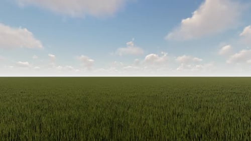 Flying Over Endless Green Grass Field with Blue Sky and Clouds