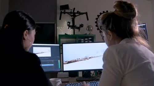 Video Editors Working on Computer in Office