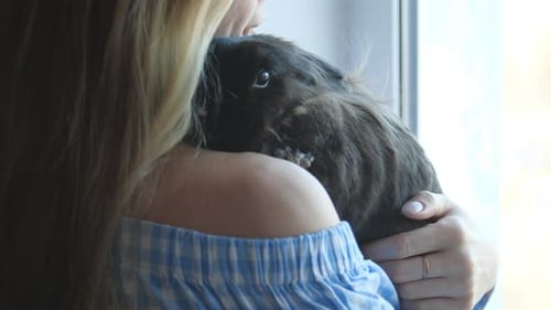Woman Cuddling Fluffy Grey Rabbit by Window