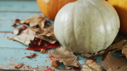 Autumn Harvest with Pumpkins and Dried Leaves