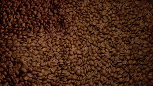 Coffee Beans Churning