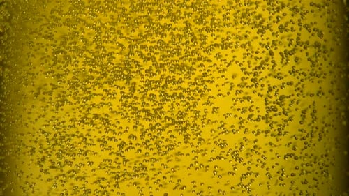 Extreme close-up beer bubbles in glass, Slow Motion