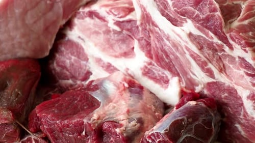 Assortment of Fresh Raw Meat Cuts