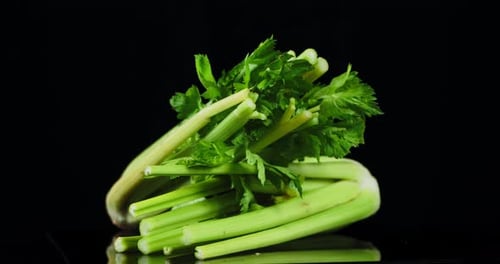 A Bunchs of Fresh Celery Slowly Rotate.