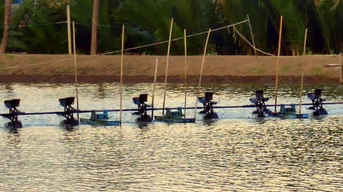 Shrimp farming pond with radial paddle aerators at Samut Songkhram in Thailand