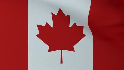 Realistic Waving Canadian Flag Seamless Loop