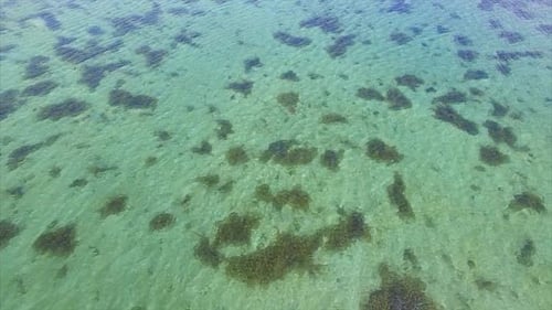 Kristallklares Wasser des Fjords auf den Lofoten in Norwegen