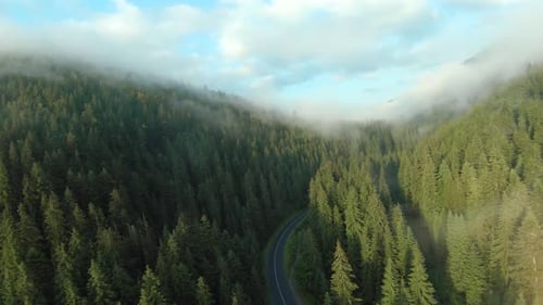 Aerial View of Cars Driving Along the Road in the Mountains Among the Coniferous Forest