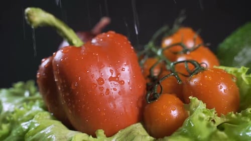 Fresh Vegetables with Water Droplets Close Up
