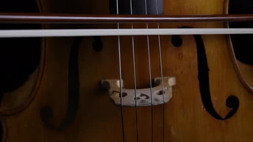 Close Up of the Bow Touches the Strings on a Cello