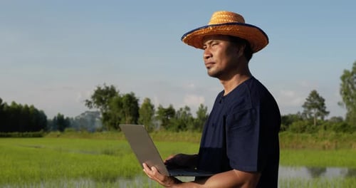 Junge Landwirte nutzen Laptop für Recherchen über Reis auf dem Feld