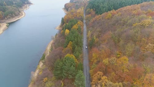 Drone Follows Speeding Car on Asphalt Road Near Lake Shore