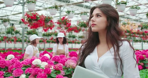 Woman Stands Amongst Flowers in Greenhouse