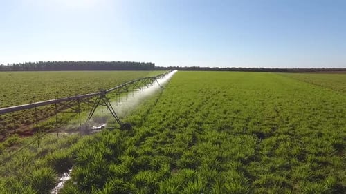 052 Agro Diverso
