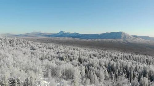 Aerial View of Snowy Winter Forest with Mountains in the Background