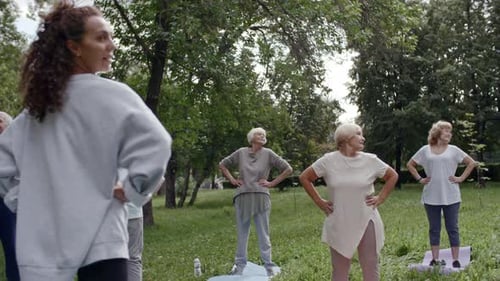 Senior Fitness Class in the Park with Instructor