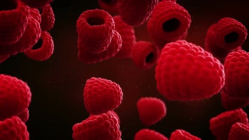 Vibrant Red Raspberries Floating in Slow Motion