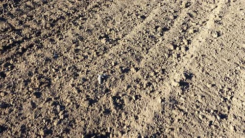 Das landwirtschaftliche Feld