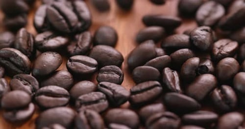 Coffee Bean