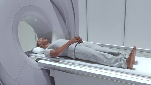 3D Animation of MRI Scan Revealing Human Anatomy