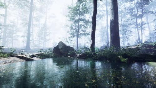 Mist on Pond in Forest with Fog