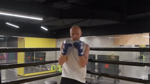 Kickboxer training in low light gym. Sportsman boxing in camera. Medium shot with camera