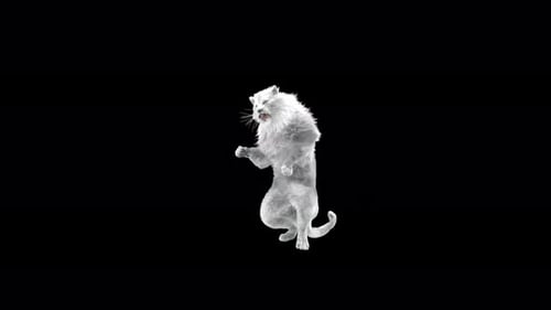 White Lion Dancing 4K