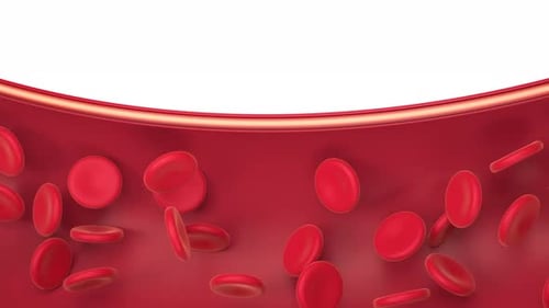 Red blood cells in vessel