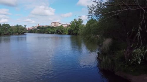 The river bank and the forest from drone view