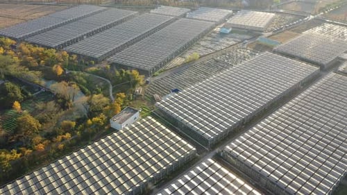 Aerial View of Extensive Greenhouse Farming Landscape