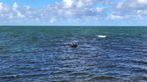 Two birds on a rock in the middle of the ocean