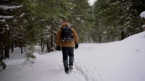 Man with a Black Backpack Travels Through the Forest Winter