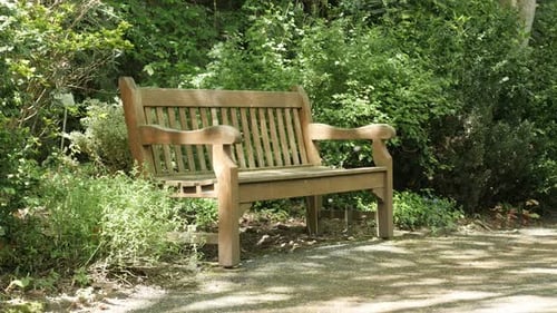 Wooden bench in the park natural background 4K 3840X2160 UHD video - Lonely bench in the forest by