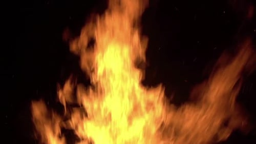 Abstract Flames Burning in a Fiery Loop