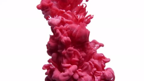 Vivid Pink Ink Cloud Rising on White Background