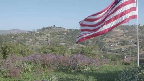 American Flag Waves Over a Suburban Landscape