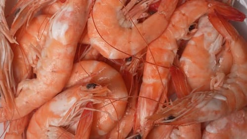 Close-Up of Pile of Fresh Cooked Shrimp